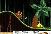 Donkey Kong Jungle Ride